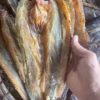 Khô Cá Mối Xẻ Ướp Mặn Vừa Ăn 500G - Vựa Khô Bến Tre - Ảnh 3