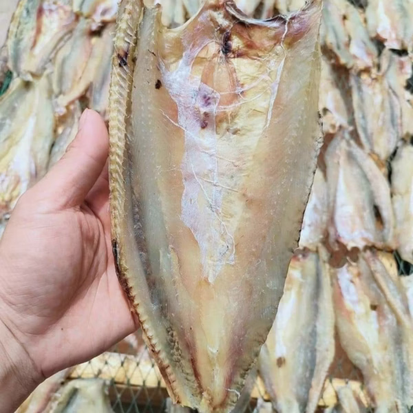 Khô Cá Mối Xẻ Ướp Mặn Vừa Ăn 500G - Vựa Khô Bến Tre