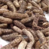 Chuối Hột Rừng Tây Nguyên Túi 1Kg Ctb383 - Bechip - Ảnh 3