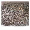 Chuối Hột Rừng Tây Nguyên Túi 1Kg Ctb383 - Bechip - Ảnh 4