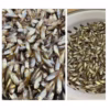 Mắm Cá Rò Huế, Đặc Sản Huế, Vị Ngon Chuẩn Huế Hủ 500G Ctb391 - Bechip - Ảnh 7