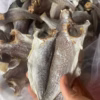 Khô Cá Đù Ướp Mặn 500G 10Tới15 Con - Vựa Khô Bến Tre - Ảnh 2