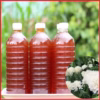 Mật Ong Hoa Cà Phê Đắk Lắc Nguyên Chất 100% Chai 1L Ctb419 - Bechip - Ảnh 7