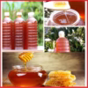 Mật Ong Hoa Cà Phê Đắk Lắc Nguyên Chất 100% Chai 1L Ctb419 - Bechip - Ảnh 2