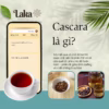 Combo Tặng Quà - 2 Hộp Trà Cà Phê Cascara Laka 100Gr, 100% Quả Cà Phê Tươi Chín Mọng, Công Nghệ Enzyme Độc Quyền - Ảnh 2