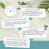 Combo Tặng Quà - 2 Hộp Trà Cà Phê Cascara Laka 100Gr, 100% Quả Cà Phê Tươi Chín Mọng, Công Nghệ Enzyme Độc Quyền - Ảnh 3