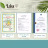 Trà Cà Phê Túi Lọc Cascara Laka Hộp 80Gr 100% Quả Cà Phê Tươi Chín Mọng, Công Nghệ Enzyme Độc Quyền - Ảnh 6