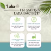 Combo Tặng Quà - 2 Hộp Trà Cà Phê Túi Lọc Cascara Laka 80Gr, 100% Quả Cà Phê Tươi Chín Mọng, Công Nghệ Enzyme Độc Quyền - Ảnh 3