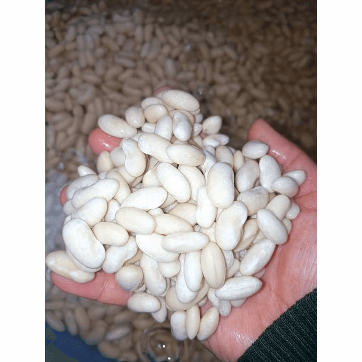 Mứt Đậu Trắng Nhà Làm Thơm Bùi Trắng Trong, Mềm 500G Ctb610 - Bechip - Ảnh 6