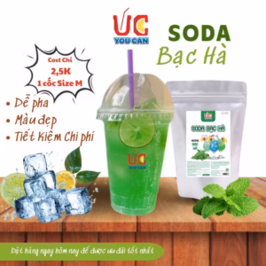 Soda Bạc Hà Bột Hòa Tan, Nước Uống Giải Khát Có Sẵn Gas, Không Cần Siro, Thơm Ngon, Dễ Pha Túi 500Gr - Lady'S Passion