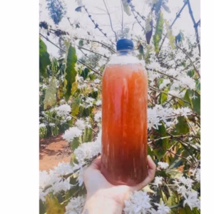 Mật Ong Hoa Cafe Nguyên Chất- Haanh