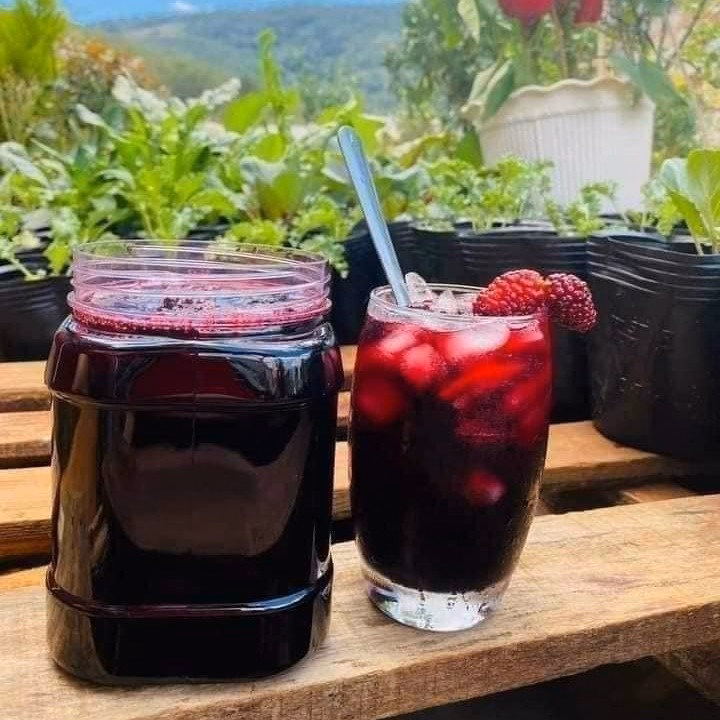 Hạt Đác Rim Dâu Tằm Thơm Ngon Ngất Ngây 1Kg - Winnie House - Ảnh 2