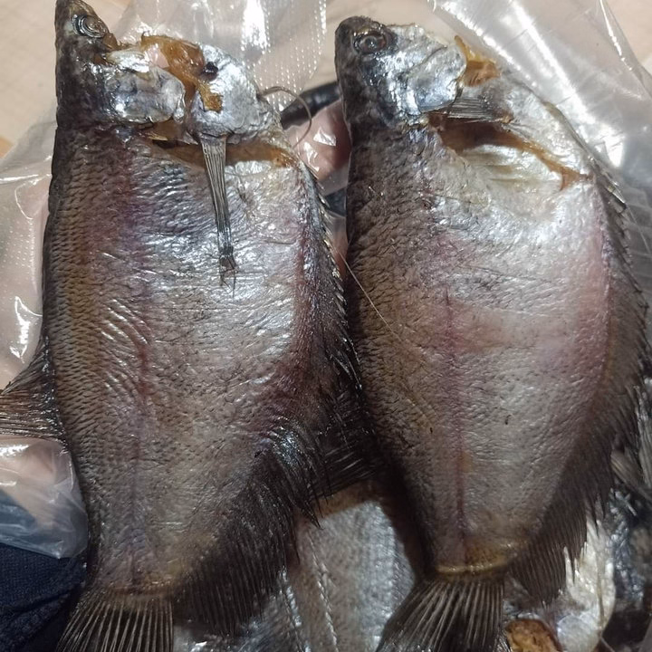 Khô Cá Sặc To Ướp Mặn 500G - Vựa Khô Bến Tre - Ảnh 2