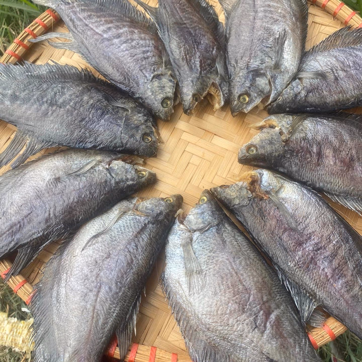 Khô Cá Sặc To Ướp Mặn 500G - Vựa Khô Bến Tre - Ảnh 4