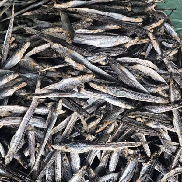 Khô Cá Kèo Size Trung - Vựa Khô Bến Tre - Ảnh 2