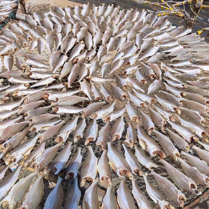 Khô Cá Đù Vị Lạt, Vị Mặn Nhẹ Vừa Ăn - Vựa Khô Bến Tre - Ảnh 5