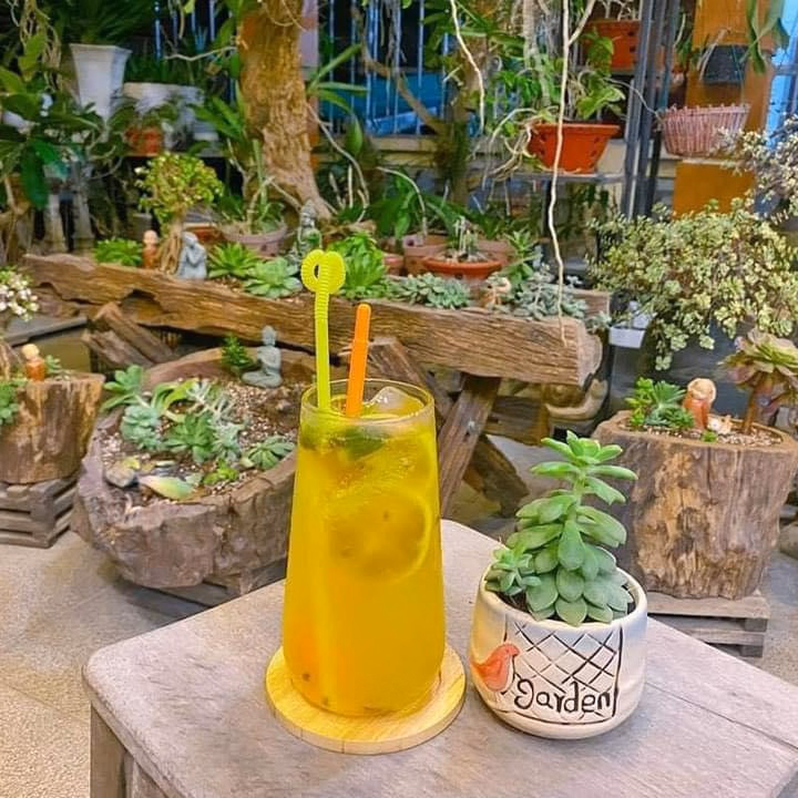 Trà Chanh Dây Kim Quất Sáng Da Chống Lão Hóa - Bamboo - Ảnh 12