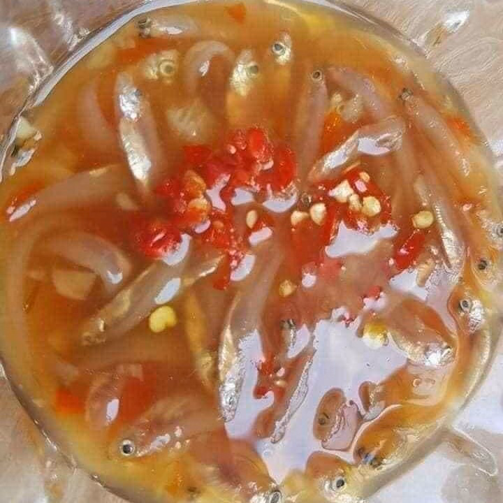 Mắm Cá Cơm Chưa Trộn Đu Đủ 500G - Vựa Khô Bến Tre