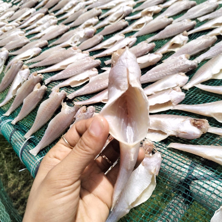 Khô Cá Đù Ướp Mặn Vừa Ăn 500G - Vựa Khô Bến Tre - Ảnh 3