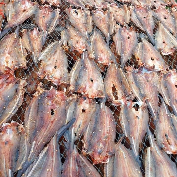 Khô Cá Ngát Ướp Gia Vị Vừa Ăn 1Kg - Vựa Khô Bến Tre - Ảnh 2