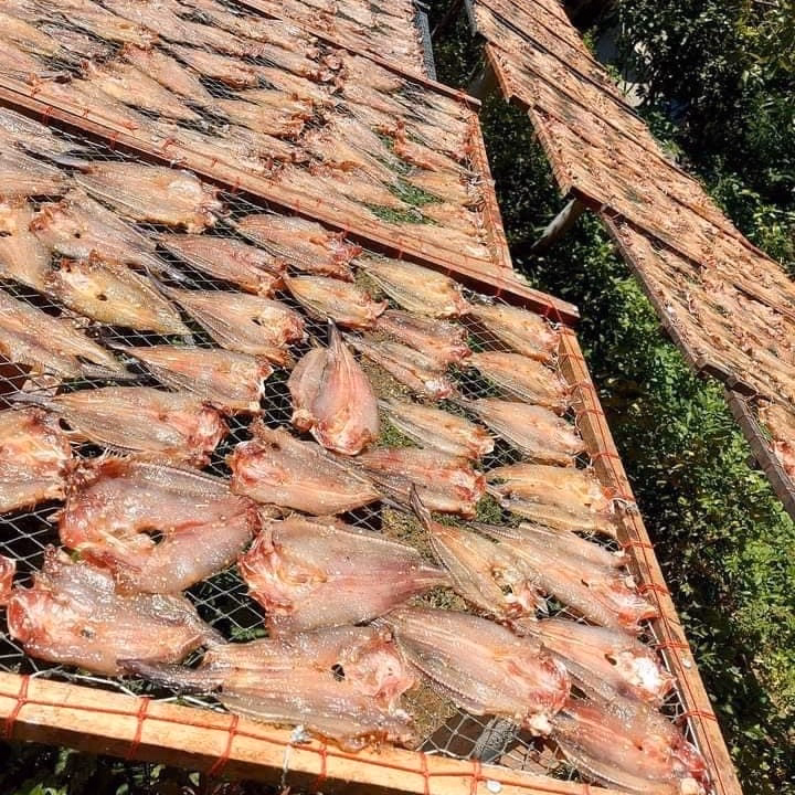 Khô Cá Ngát Ướp Gia Vị Vừa Ăn 1Kg - Vựa Khô Bến Tre - Ảnh 6