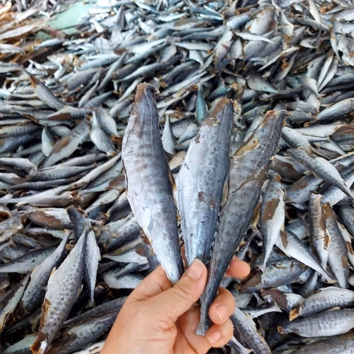Khô Cá Thu Nguyên Con Ướp Mặn - Vựa Khô Bến Tre - Ảnh 4