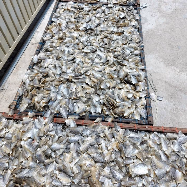 Khô Cá Sặc Mini Vị Mặn Vừa Ăn 500G - Vựa Khô Bến Tre - Ảnh 2