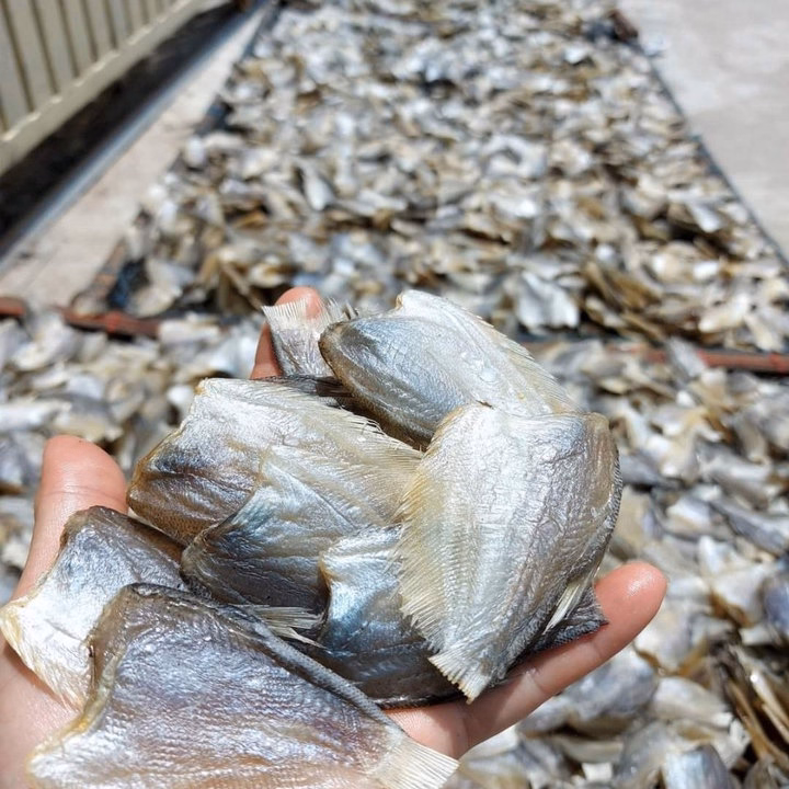 Khô Cá Sặc Mini Vị Mặn Vừa Ăn 500G - Vựa Khô Bến Tre