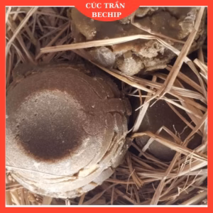 Combpo 2 Bát Đường Bát Quảng Ngãi, Đường Mía Thô Nguyên Bát, Nguyên Chất Từ Mía 100% - Ctb781