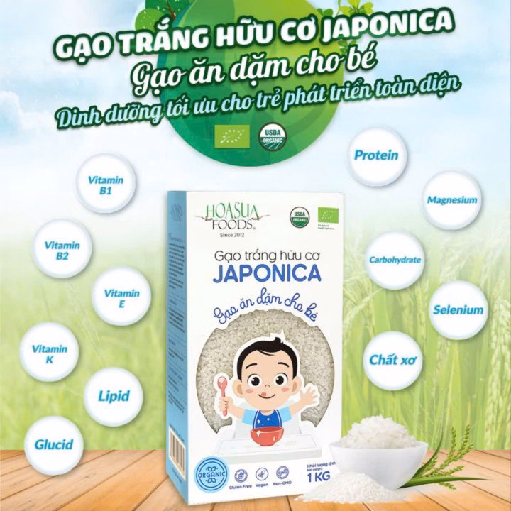 Gạo Trắng Hữu Cơ Japonica Hoa Sữa, Gạo Ăn Dặm Cho Bé Túi 1Kg L014 - Lady'S Passion - Ảnh 4