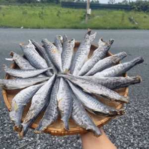 Khô Cá Thu Nguyên Con Ướp Mặn - Vựa Khô Bến Tre
