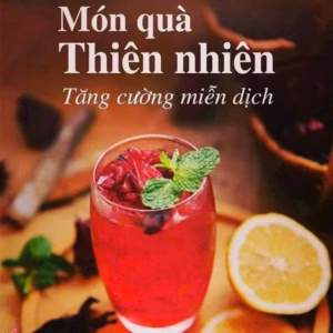 Siro Atiso Đỏ – Giải Nhiệt, Đẹp Da, Tốt Cho Gan 1Kg - Winnie House