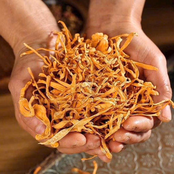 Set Nấm 14 Vị Thượng Hạng - Bữa Ăn Ngon, Sức Khỏe Dồi Dào 100G - Winnie House - Ảnh 8