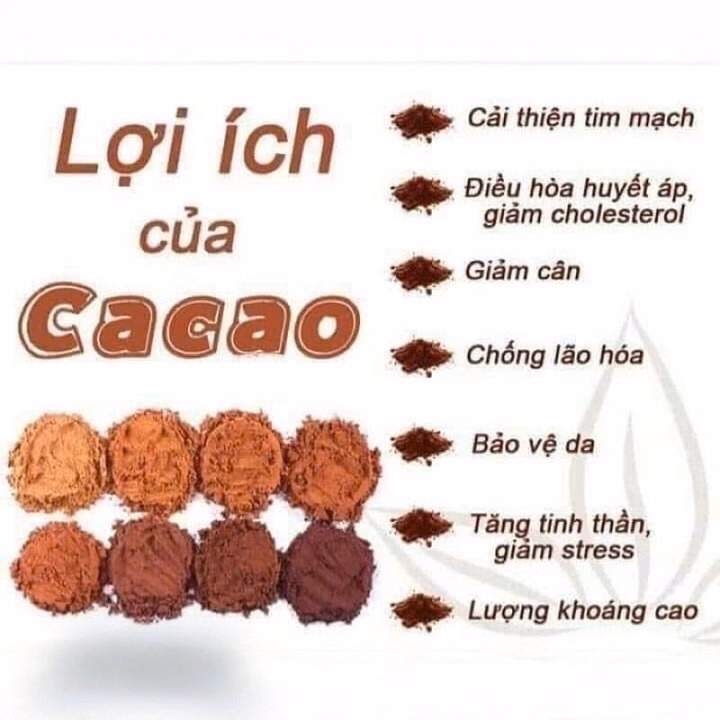 Bột Cacao Nguyên Chất Đắk Lắk Loại Xịn 500G - Winnie House - Ảnh 5