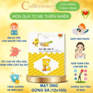 Hộp Mật Ong Gừng Sả 12X10G - Cvdbeehoney