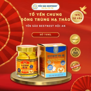 Yến Sào Bestnest Hội An - Hũ Yến Chưng Sẵn Đông Trùng Hạ Thảo 18% - Hũ 70Ml