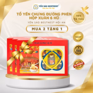 [Mua 2 Tặng 1] Yến Sào Bestnest Hội An - Tổ Yến Chưng Sẵn Đường Phèn 18% - Hộp Xuân 6 Hũ X 70Ml