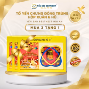 [Mua 2 Tặng 1] Yến Sào Bestnest Hội An - Tổ Yến Chưng Sẵn Đông Trùng Hạ Thảo 18% - Hộp Xuân 6 Hũ X 70Ml