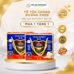 [Mua 1 Tặng 1] Yến Sào Bestnest Hội An - Tổ Yến Chưng Sẵn Đường Phèn 18% - Hộp Quai Xách 6 Hũ X 70Ml