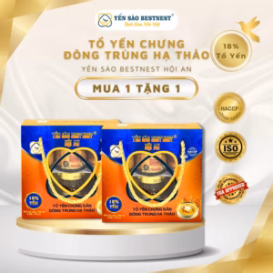 [Mua 1 Tặng 1] Yến Sào Bestnest Hội An - Tổ Yến Chưng Sẵn Đông Trùng 18% - Hộp Quai Xách 6 Hũ X 70Ml