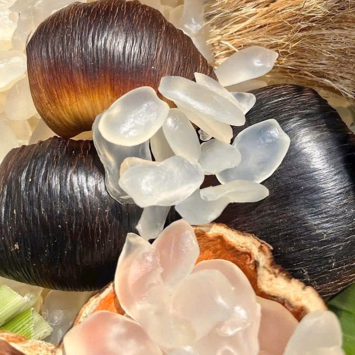 Thốt Nốt Thái Sấy Dẻo - Tự Nhiên - Ngon - Bổ - Ngọt Thanh 500G - Winnie House - Ảnh 3