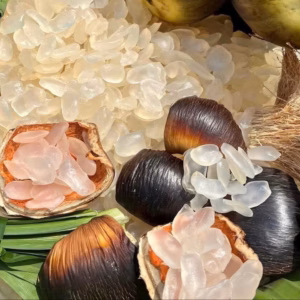 Thốt Nốt Thái Sấy Dẻo - Tự Nhiên - Ngon - Bổ - Ngọt Thanh 500G - Winnie House