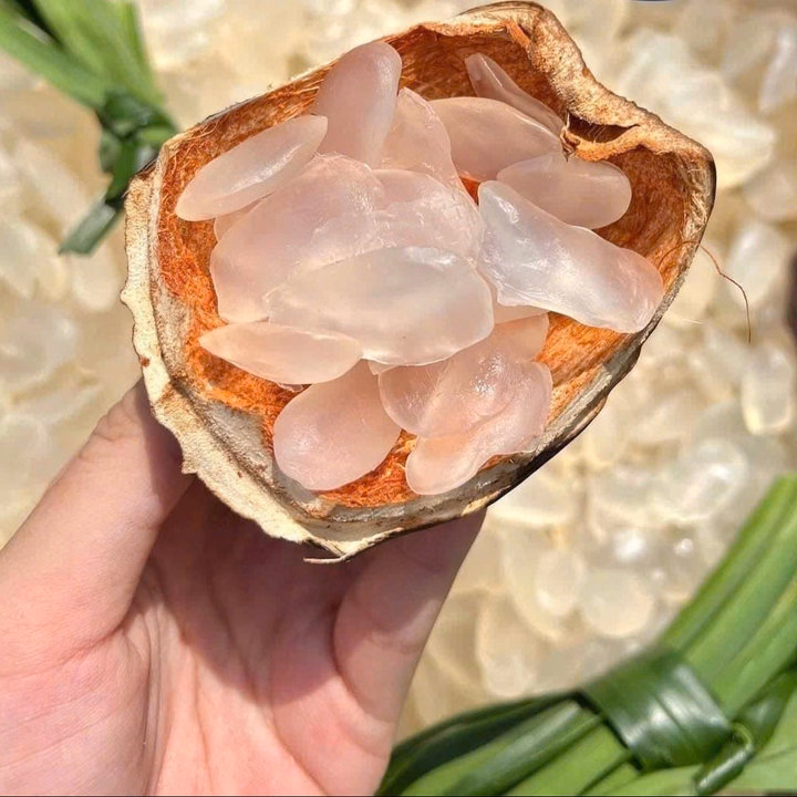 Thốt Nốt Thái Sấy Dẻo - Tự Nhiên - Ngon - Bổ - Ngọt Thanh 500G - Winnie House - Ảnh 4