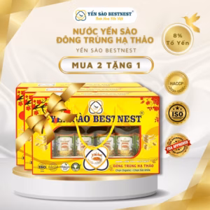 [Mua 2 Tặng 1] Nước Yến Sào Bestnest - Vị Đông Trùng Hạ Thảo - Hộp Quà 6 Chai X 180Ml