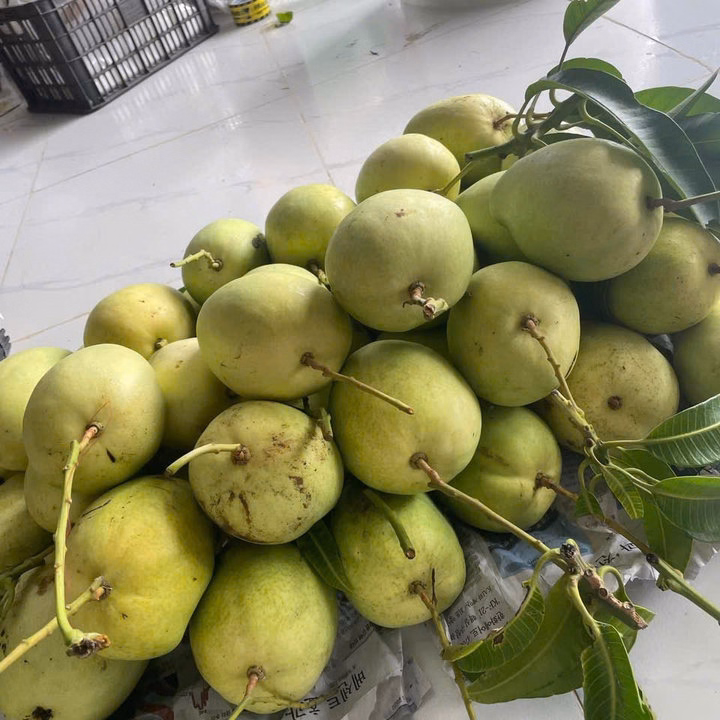 Mứt Xoài Tứ Quý 450G Chua Nhẹ Ngọt Vừa- Vựa Khô Bến Tre - Ảnh 2