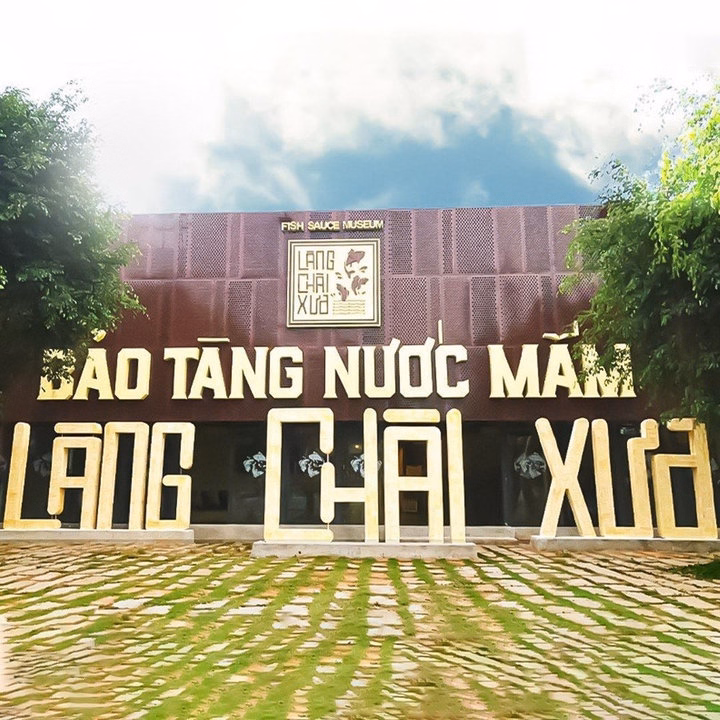 01 Chai Nước Mắm Tĩn Cá Cơm Ruột Đỏ Độ Đạm 60N Chai Thủy Tinh 500Ml - Nước Mắm Tĩn - Ảnh 8