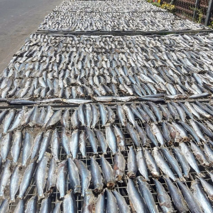 Khô Cá Trích Vị Mặn Vừa Ăn, Khô Miền Tây - Ảnh 3
