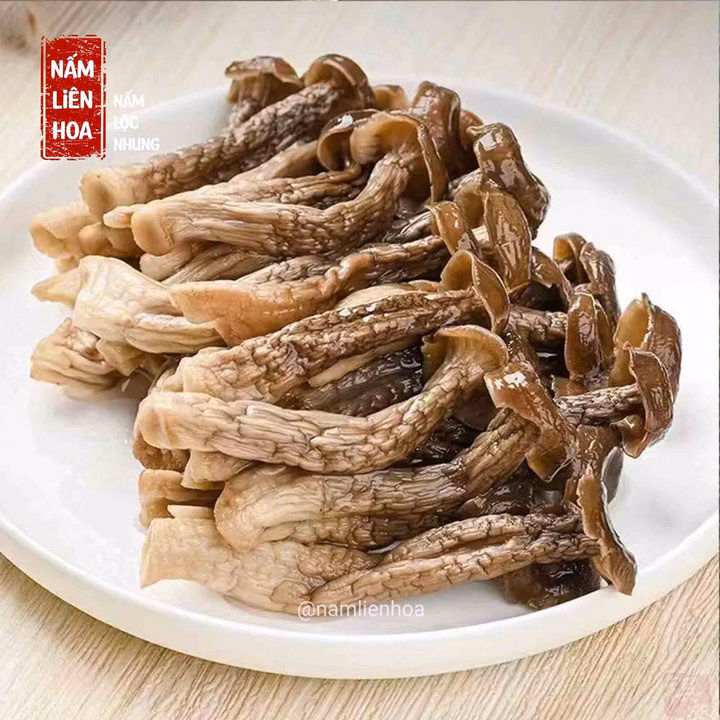 Nấm Lộc Nhung Khô Nguyên Cây - Bách Hóa Minh Ngọc - Ảnh 7