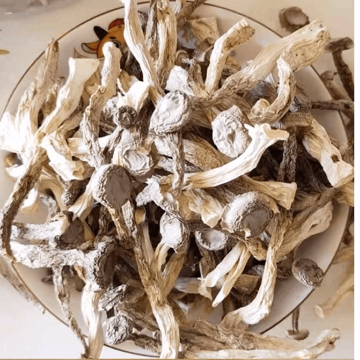 Nấm Lộc Nhung Khô Nguyên Cây - Bách Hóa Minh Ngọc - Ảnh 3