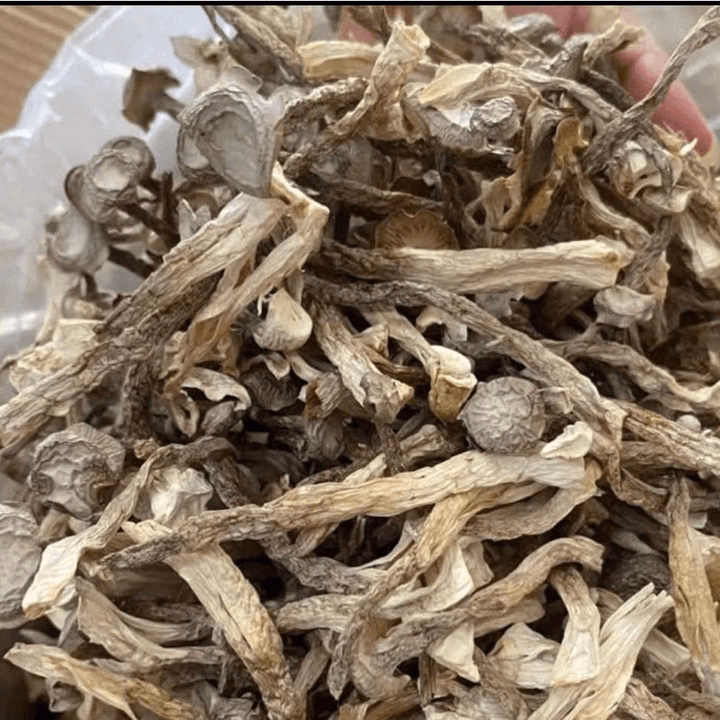 Nấm Lộc Nhung Khô Nguyên Cây - Bách Hóa Minh Ngọc - Ảnh 8